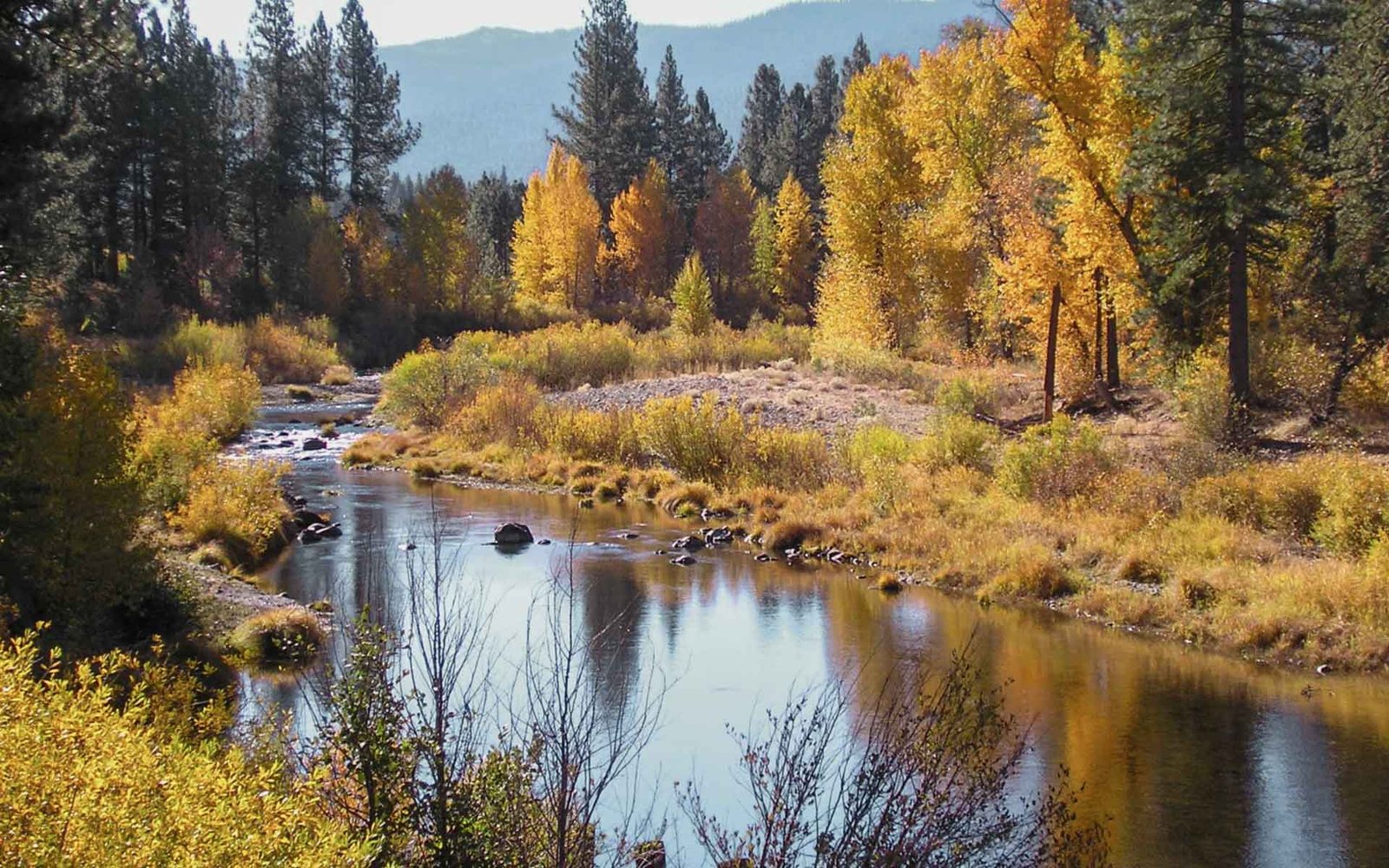 cottage3-section-bg5